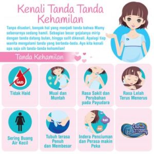 buah untuk ibu hamil