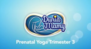 website duniamamy