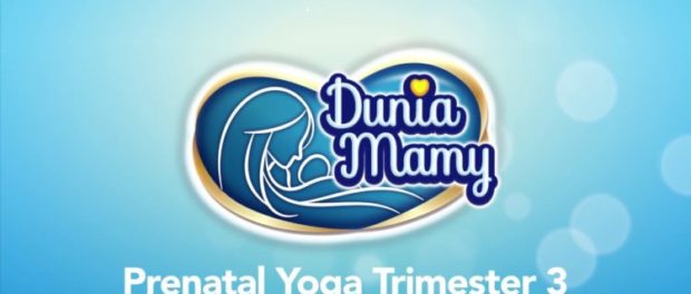 website duniamamy website duniamamy